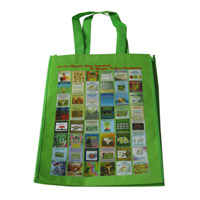 南充LB11覆膜无纺布广告袋